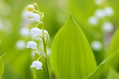 日本环球影城大金刚国度区域将延期至下半年开放